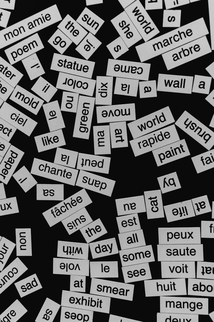 Multilingual Communication Support